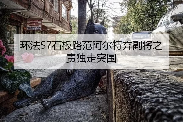 huan-fa-shi-ban-lu-fan-a-er-te-qi-fu-jiang-zhi-ze-du-zou-tu-wei-2-122.jpg