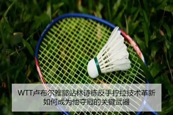 lu-bu-er-ya-na-zhan-lin-shi-dong-fan-shou-ning-la-ji-shu-ge-xin-ru-he-cheng-wei-ta-duo-guan-de-guan-jian-wu-qi-2-775.jpg